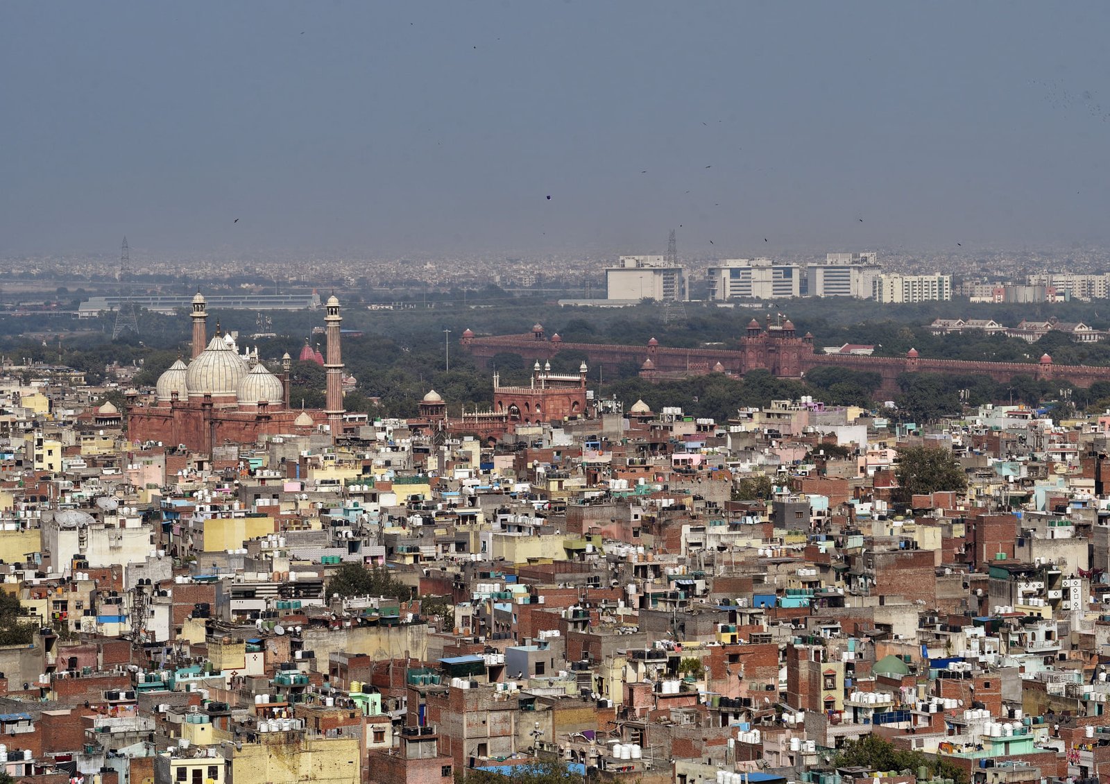 What can you see in Old Delhi?