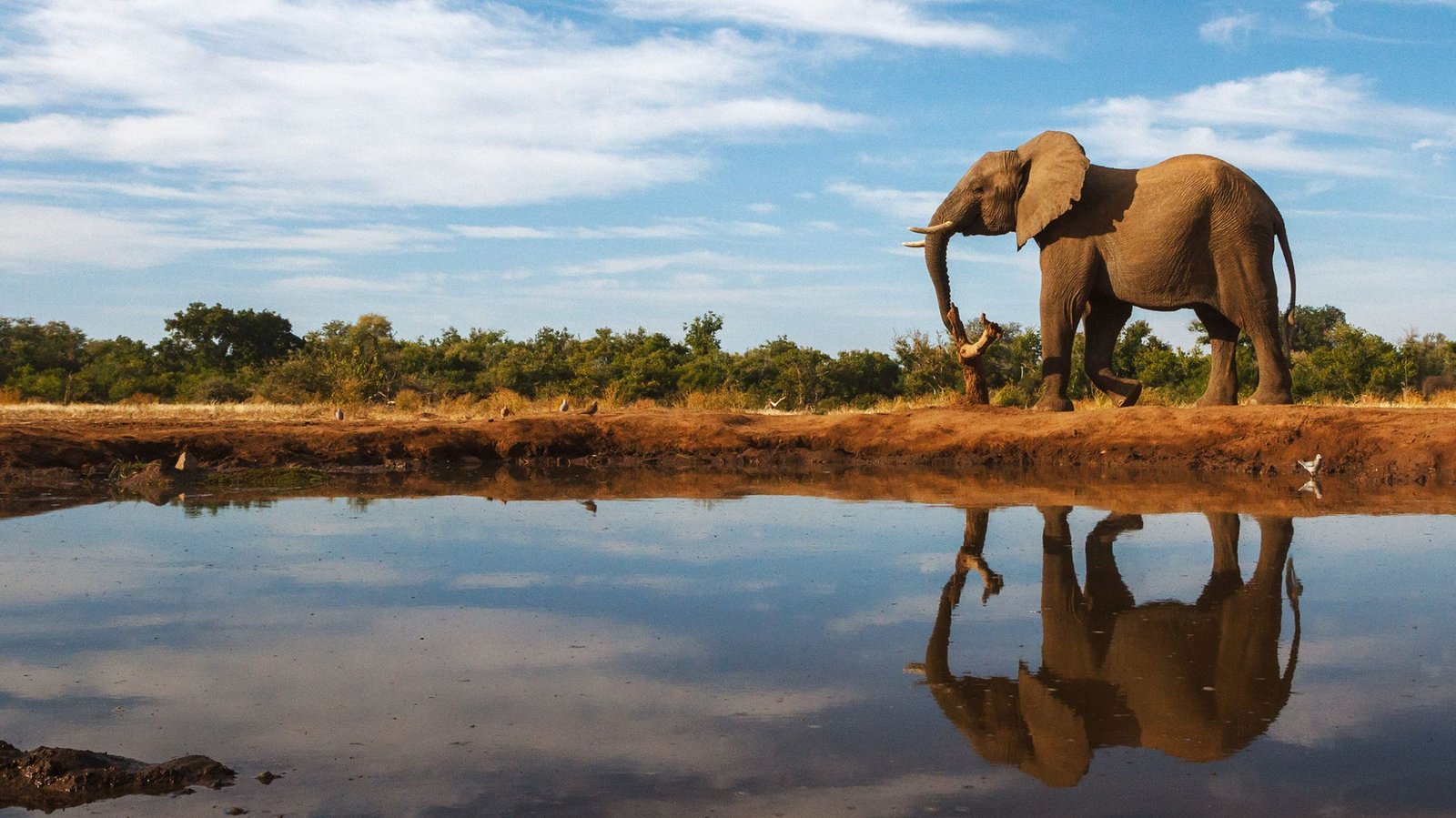 Unlock Tranquility: The Definitive Guide To Less Crowded Travel