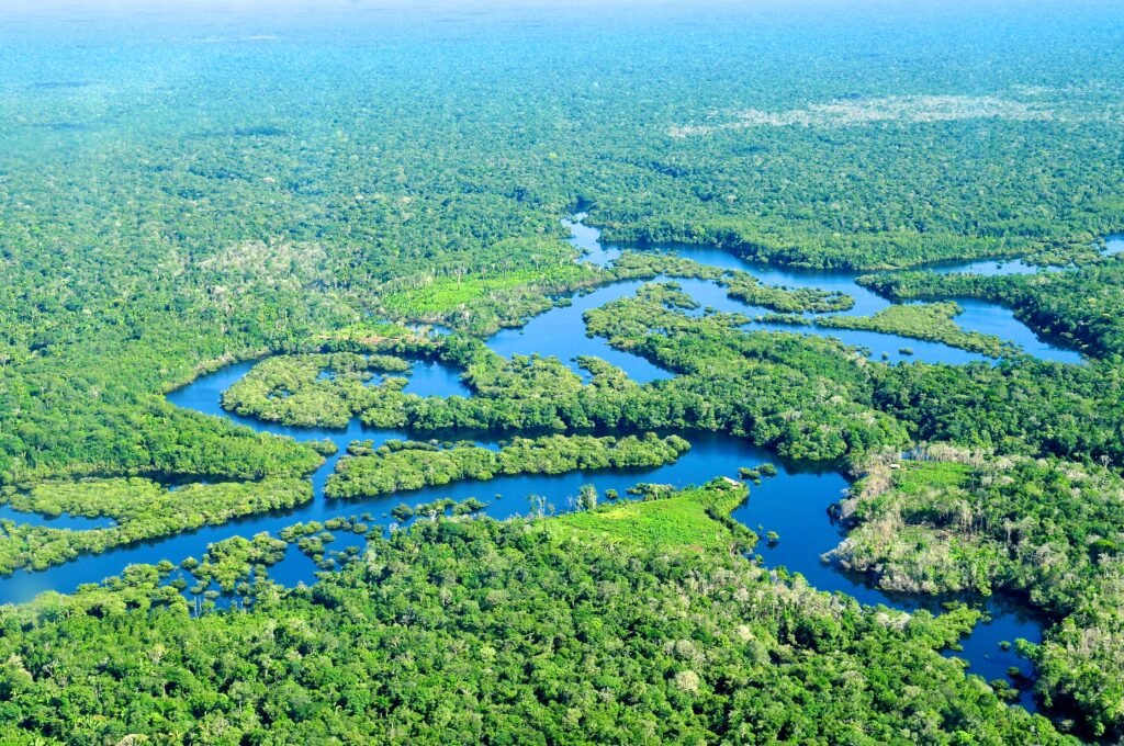 Amazon Rain Forests