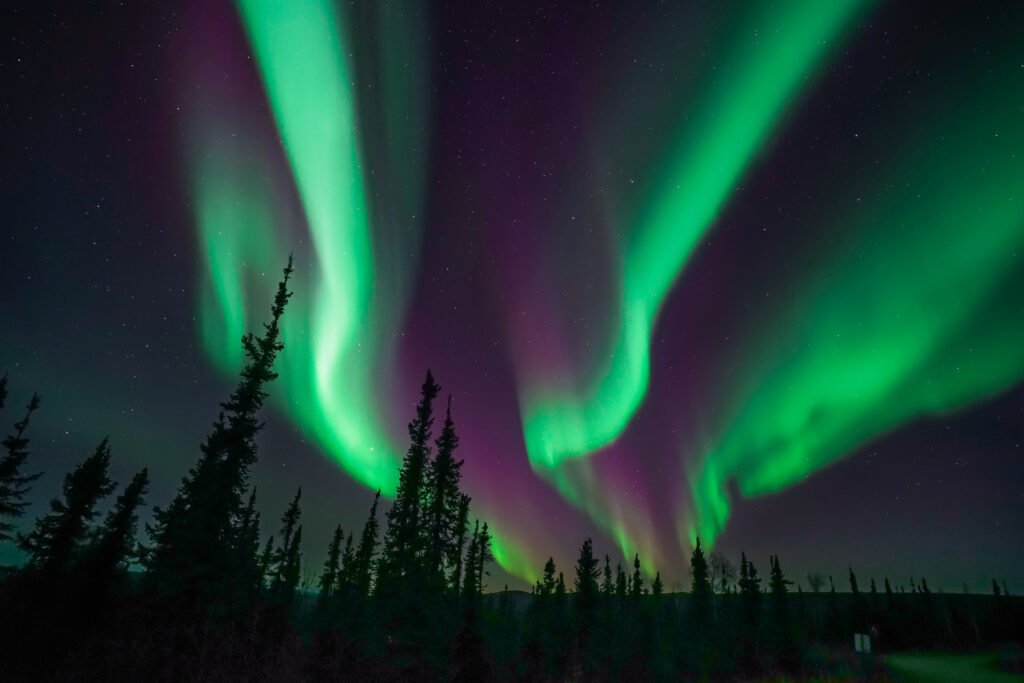 An image was taken of the fantastic northern lights from alongside the Dalton Highway at the Arctic Circle landmark in northern Alaska