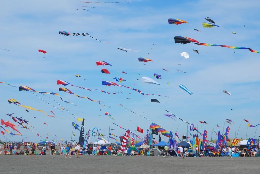 Kite Festival in the Rann of Kutch