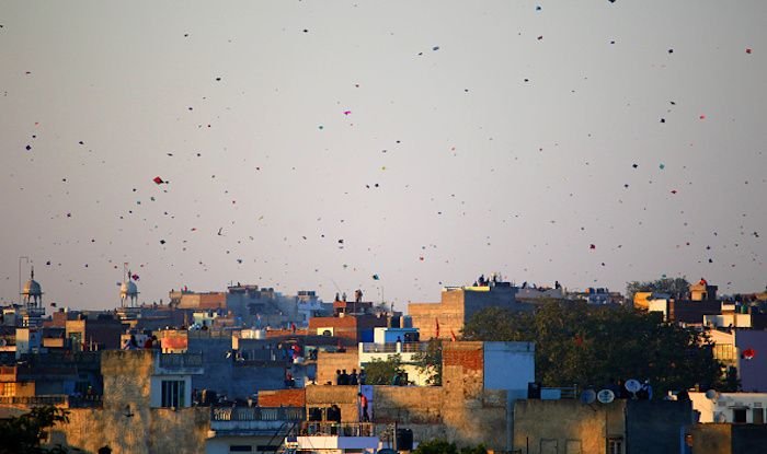 Kites flying in the sky of Jaipur 