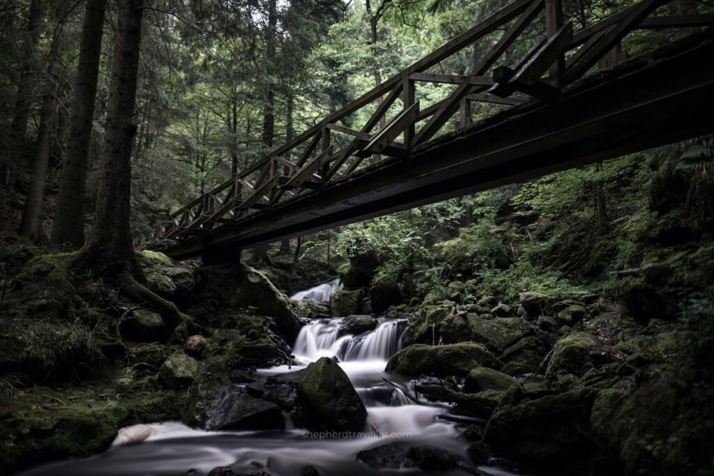 Black Forest, Germany