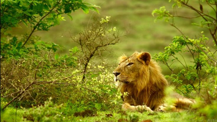 Discovering the Best of Gujarat: Top Places to Visit