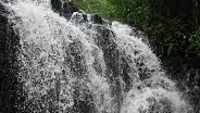 Thekkady, Kerala