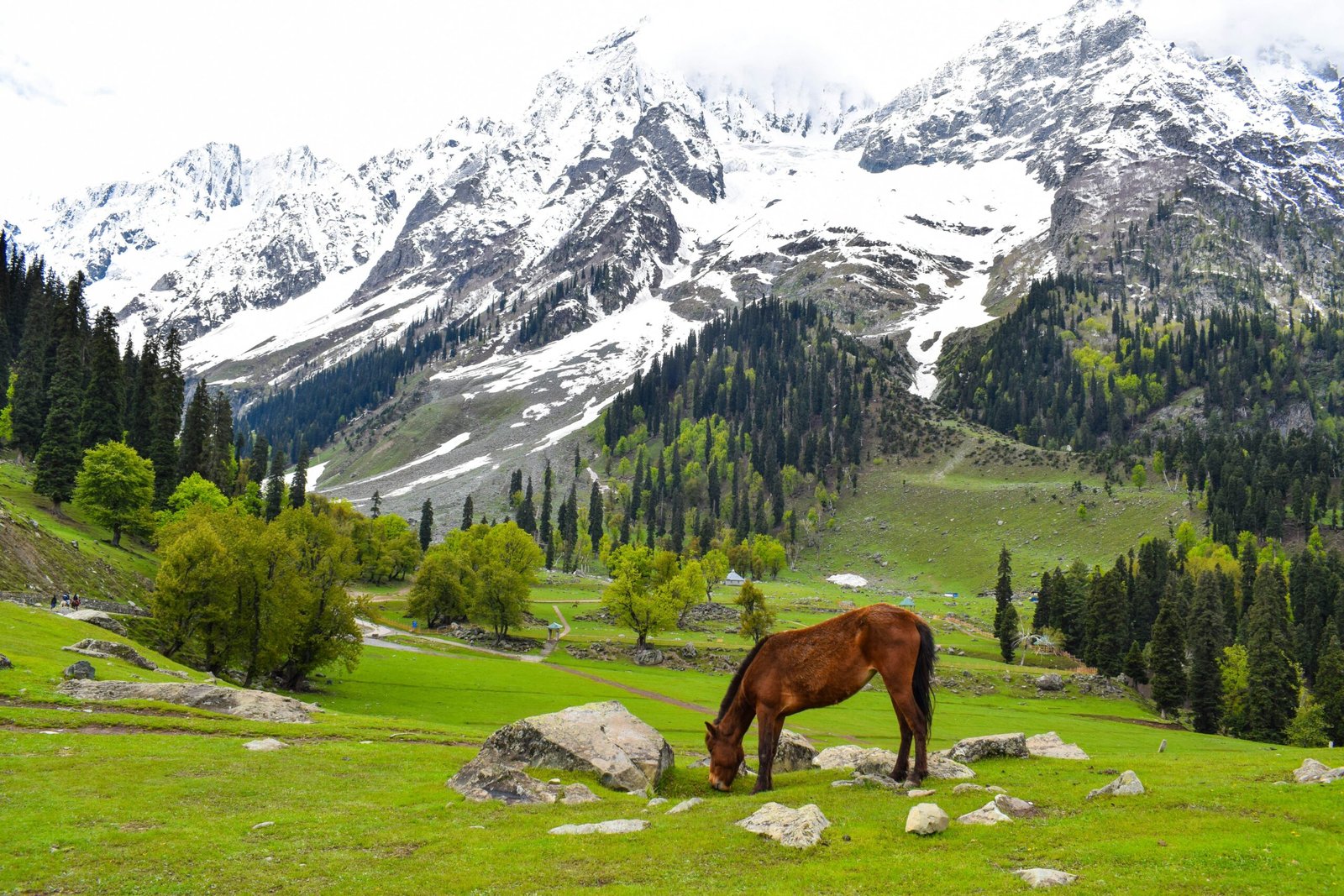 How to Make the Most of Your Kashmir Tour